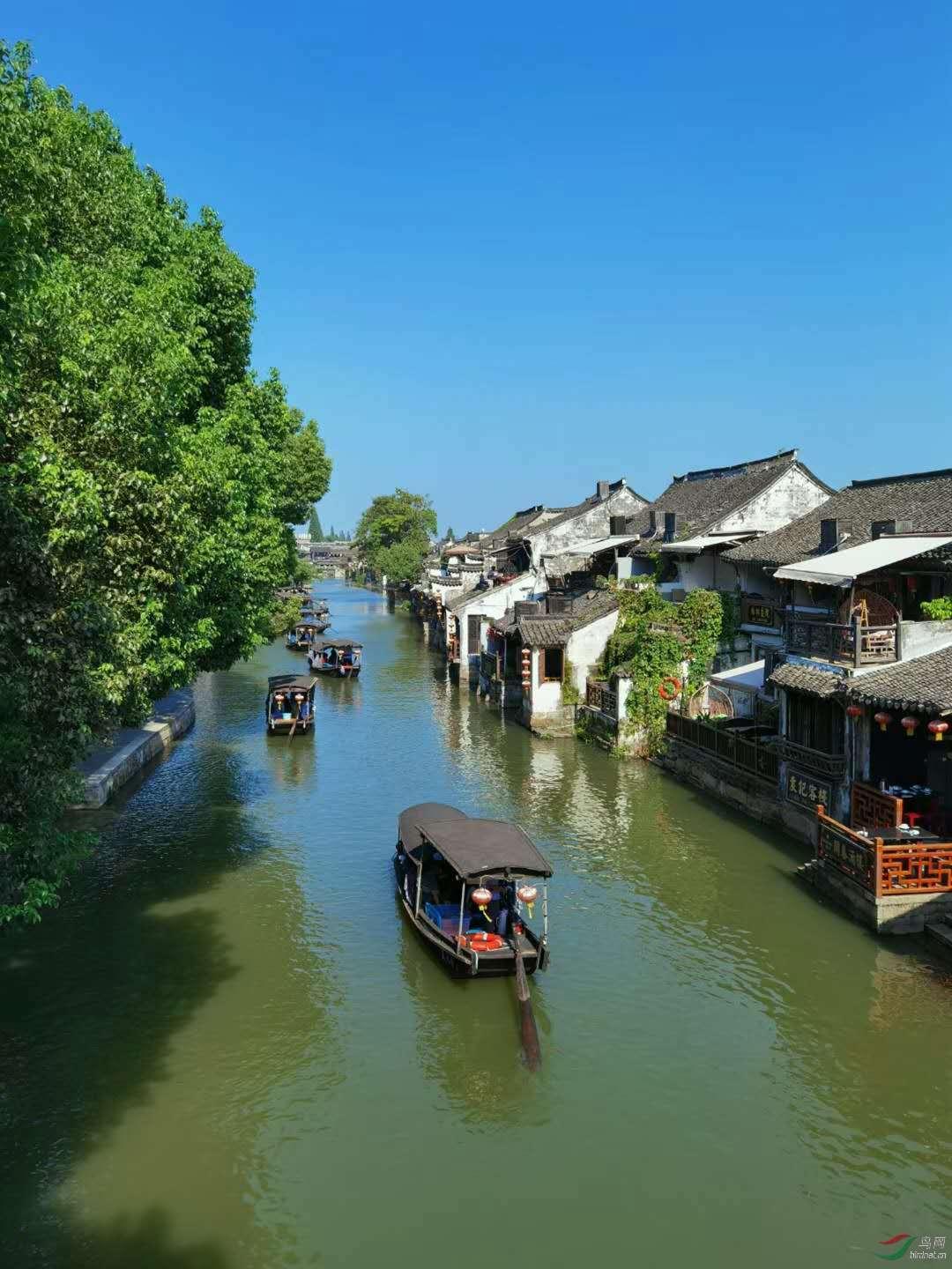 为什么想减肥却永远瘦不下来
